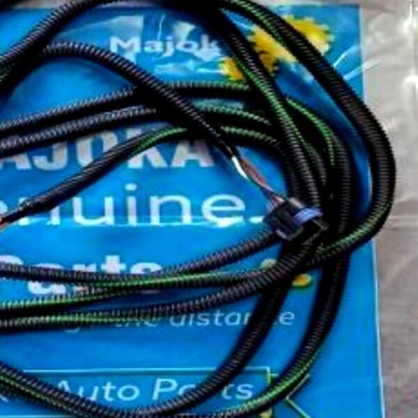 Leyland Accelerator Wiring
