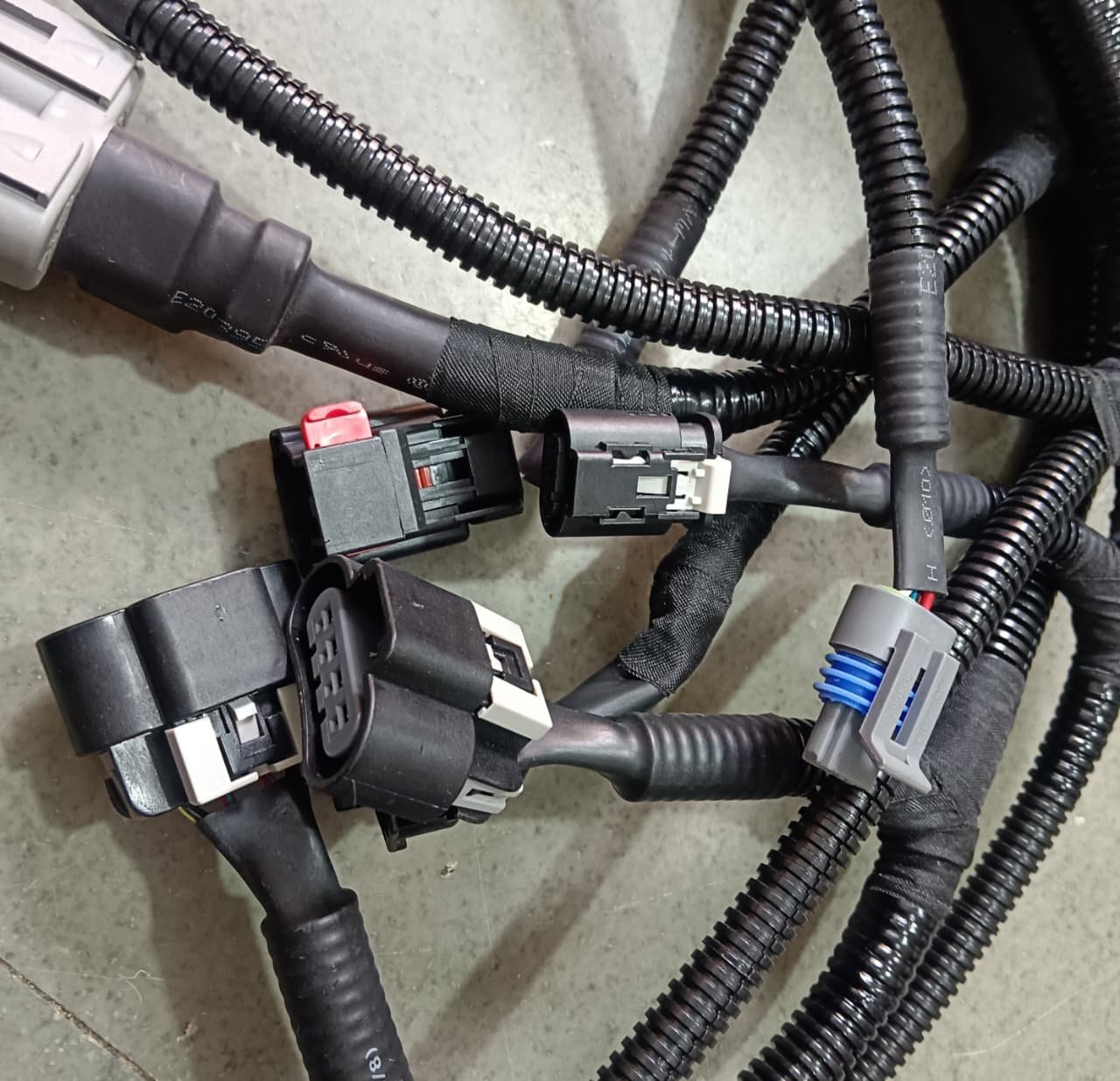 BS4 J1 Umbrella Wiring