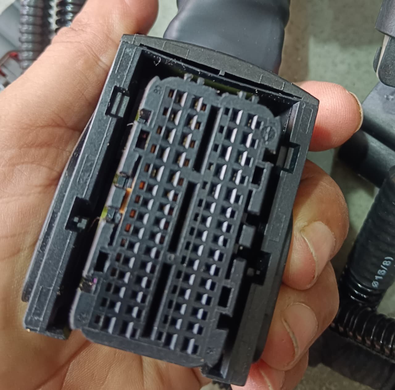 BS4 J1 Umbrella Wiring